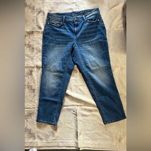 Blue Women's JeansJ.Jill Denim AUTHENTIC fit Slim Ankle women's 16